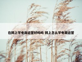 在网上学电商运营好吗吗 网上怎么学电商运营