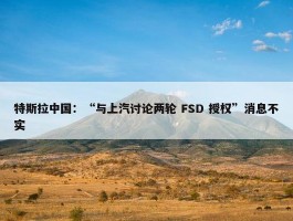 特斯拉中国：“与上汽讨论两轮 FSD 授权”消息不实