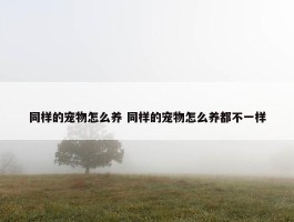 同样的宠物怎么养 同样的宠物怎么养都不一样