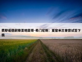 费耶诺德前锋圣地亚哥-希门尼斯：夏窗米兰曾尝试签下我