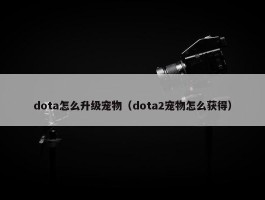 dota怎么升级宠物（dota2宠物怎么获得）