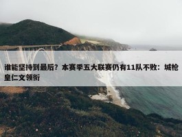 谁能坚持到最后？本赛季五大联赛仍有11队不败：城枪皇仁文领衔