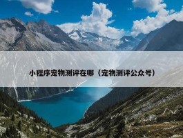 小程序宠物测评在哪（宠物测评公众号）