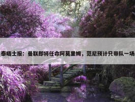 泰晤士报：曼联即将任命阿莫里姆，范尼预计只带队一场