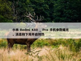 小米 Redmi K80 _ Pro 手机参数曝光，消息称下周开启预热