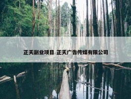 正天副业项目 正天广告传媒有限公司