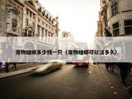 宠物螳螂多少钱一只（宠物螳螂可以活多久）