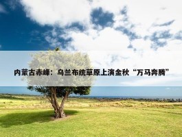 内蒙古赤峰：乌兰布统草原上演金秋“万马奔腾”