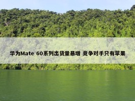 华为Mate 60系列出货量暴增 竞争对手只有苹果