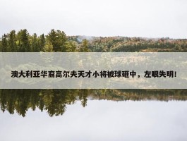 澳大利亚华裔高尔夫天才小将被球砸中，左眼失明！