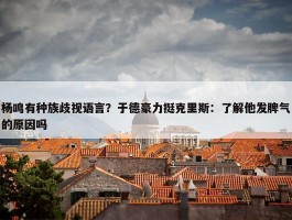 杨鸣有种族歧视语言？于德豪力挺克里斯：了解他发脾气的原因吗