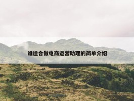 谁适合做电商运营助理的简单介绍