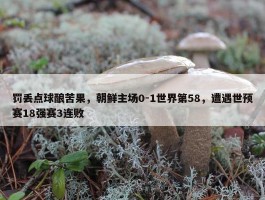 罚丢点球酿苦果，朝鲜主场0-1世界第58，遭遇世预赛18强赛3连败