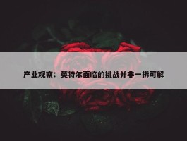 产业观察：英特尔面临的挑战并非一拆可解