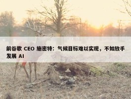 前谷歌 CEO 施密特：气候目标难以实现，不如放手发展 AI