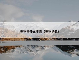 宠物带什么手套（宠物护具）