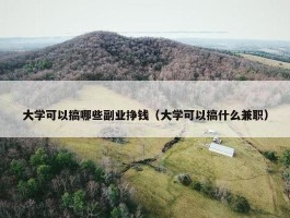 大学可以搞哪些副业挣钱（大学可以搞什么兼职）