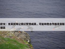 欧文：克莱到来让我们梦想成真，可能和他合作推出安踏服装