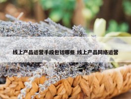 线上产品运营手段包括哪些 线上产品网络运营