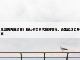 又因伤再度退赛！拉杜卡努再次缩减赛程，退出武汉公开赛