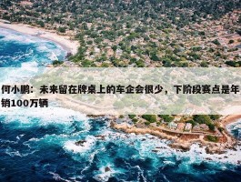 何小鹏：未来留在牌桌上的车企会很少，下阶段赛点是年销100万辆