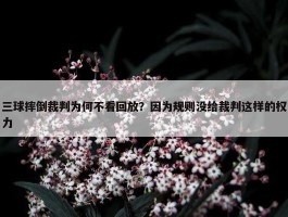 三球摔倒裁判为何不看回放？因为规则没给裁判这样的权力