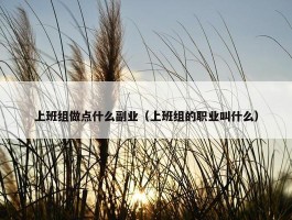 上班组做点什么副业（上班组的职业叫什么）