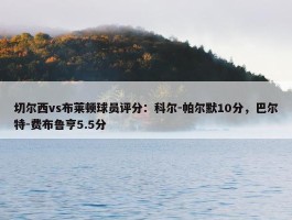 切尔西vs布莱顿球员评分：科尔-帕尔默10分，巴尔特-费布鲁亨5.5分