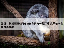 基德：新援需要时间适应和东契奇一起打球 克莱伯不会出战森林狼