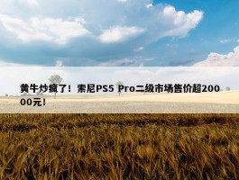 黄牛炒疯了！索尼PS5 Pro二级市场售价超20000元！