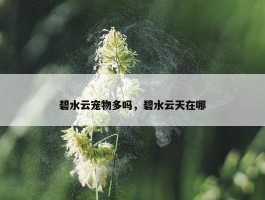 碧水云宠物多吗，碧水云天在哪