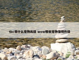 tbc带什么宠物练级 wow哪些宠物值得升级