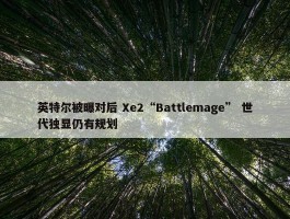 英特尔被曝对后 Xe2“Battlemage” 世代独显仍有规划