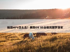 插混MPV怎么选？腾势D9 VS全新岚图梦想家