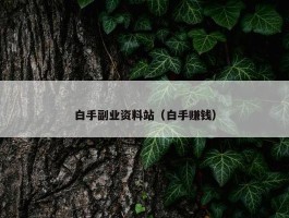 白手副业资料站（白手赚钱）