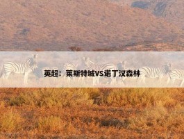 英超：莱斯特城VS诺丁汉森林