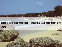 因在上海大师赛怒骂裁判，美国球员蒂亚福被重罚12万美元