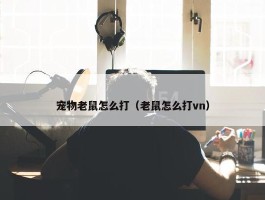 宠物老鼠怎么打（老鼠怎么打vn）