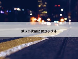 武汉小伙副业 武汉小伙伴