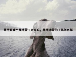 美团游戏产品运营工资高吗，美团运营的工作怎么样