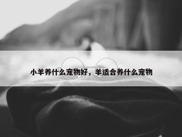 小羊养什么宠物好，羊适合养什么宠物