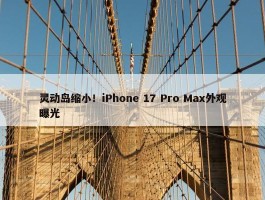 灵动岛缩小！iPhone 17 Pro Max外观曝光