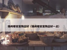 锦州哪家宠物店好（锦州哪家宠物店好一点）