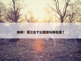 换新！湛江这个公园游玩体验感↑