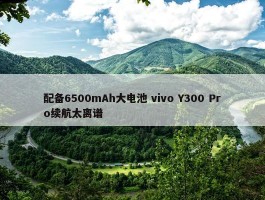 配备6500mAh大电池 vivo Y300 Pro续航太离谱