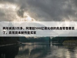 两年减员3万多，阿里超500亿港元收的高鑫零售要卖了，高瓴资本被传是买家