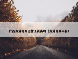 广西贵港电商运营工资高吗（贵港电商平台）