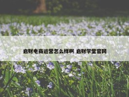 启财电商运营怎么样啊 启财学堂官网