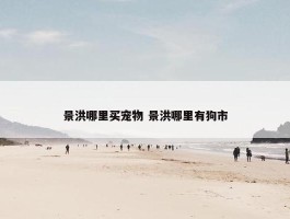 景洪哪里买宠物 景洪哪里有狗市