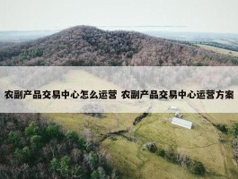 农副产品交易中心怎么运营 农副产品交易中心运营方案